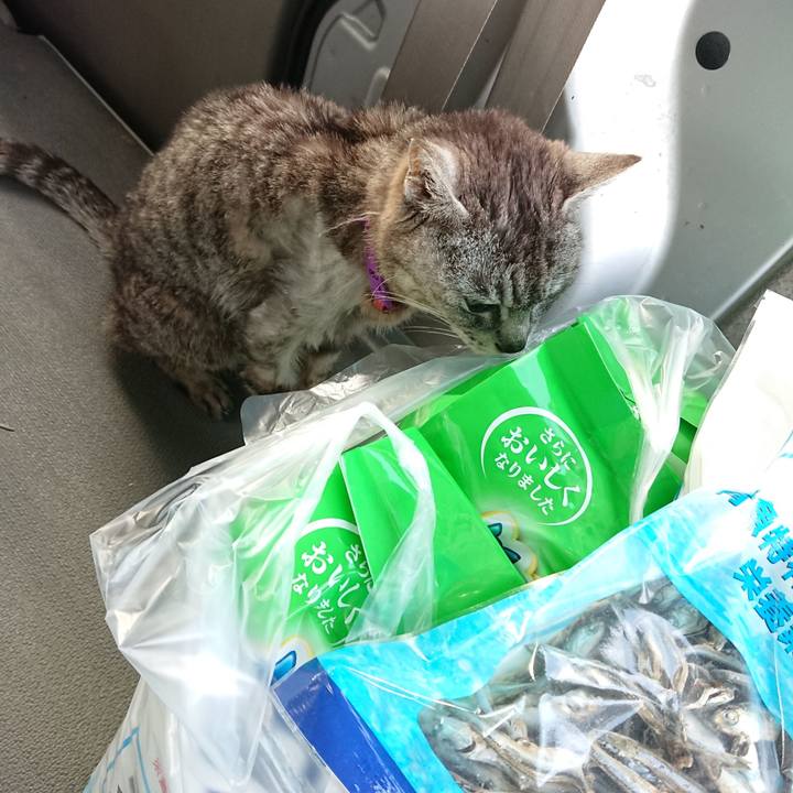 575ab037 8745 4621 86dd 38c412a7b425 1593681911973