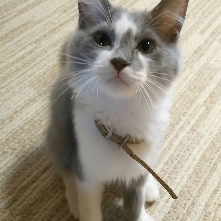 575ad519 4ff1 46a1 83bf 370e910d45ea 1599943879596