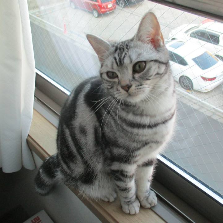 575adb57 b969 401f 866a ecd3e3caf7db 1550364952575