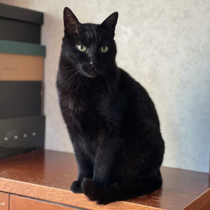 575adb8d 0a36 4a10 b745 59c227f86b94 1615858702913