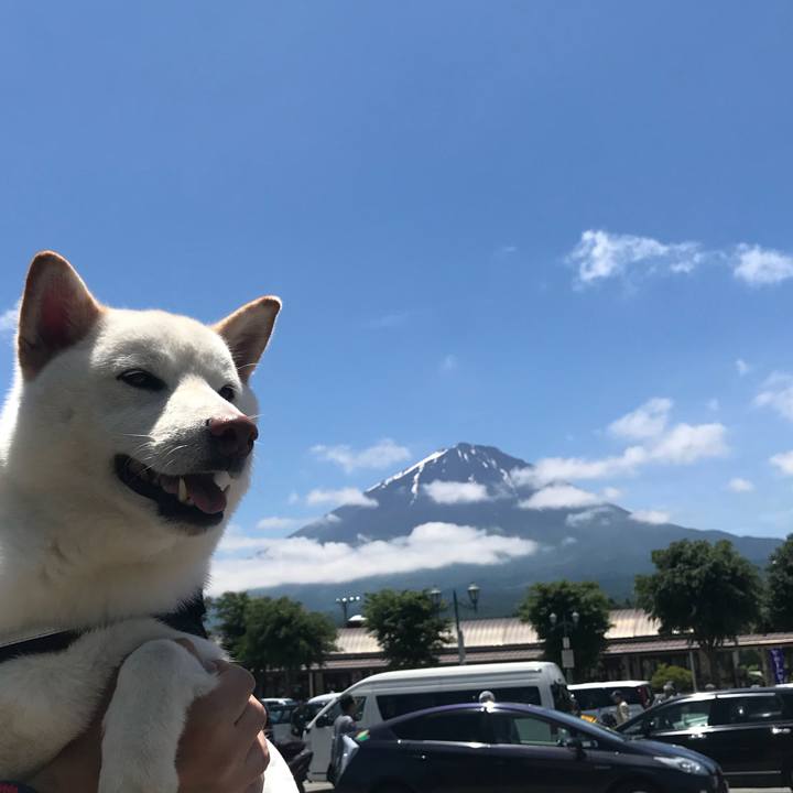 575b3b10 091b 45c6 a41f 77cc7dbd706b 1529202005770