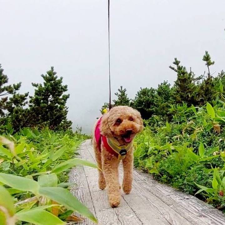 575ba4ea 8086 43a8 9944 d691bbc9b5a8 1723363714049