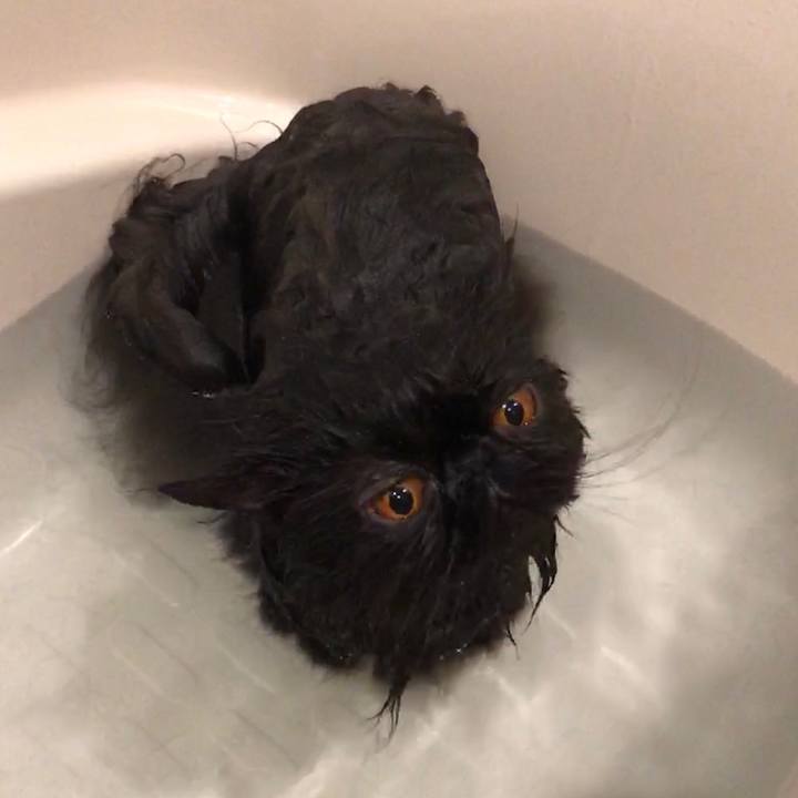 575bf89c f78d 4fa8 88fc 28165718e193 1557632538564