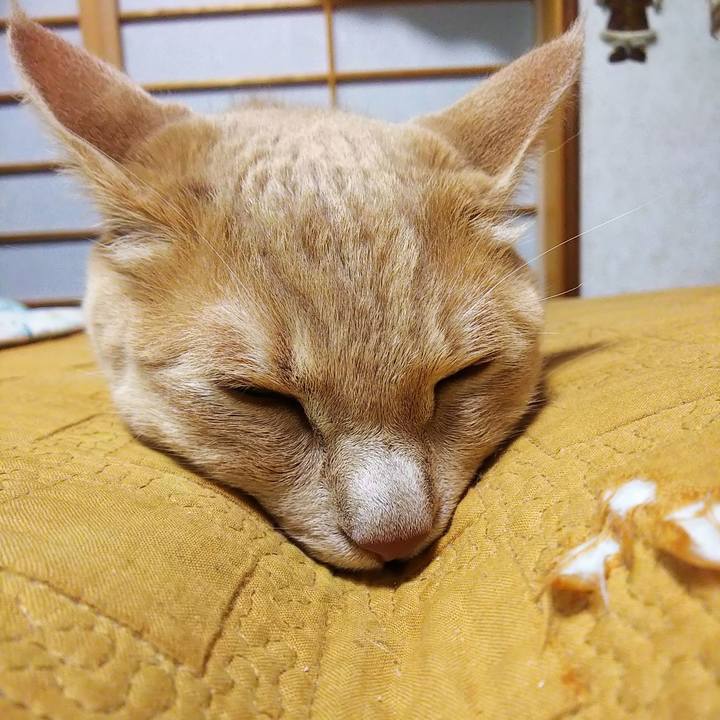 575bfe04 8583 4762 9d22 ceac20b550ab 1563616773305