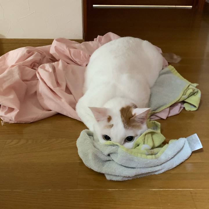 575c0156 e791 4c71 98c0 3f821af80ea6 1567574355119