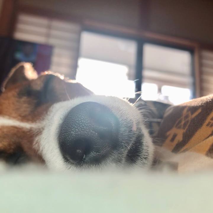 575c10c1 b417 4b3a 89ce 775064cd2d99 1545005545174