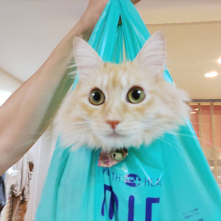 575c6337 e8a8 48ec 9c34 544eb79a55a4 1696736733416