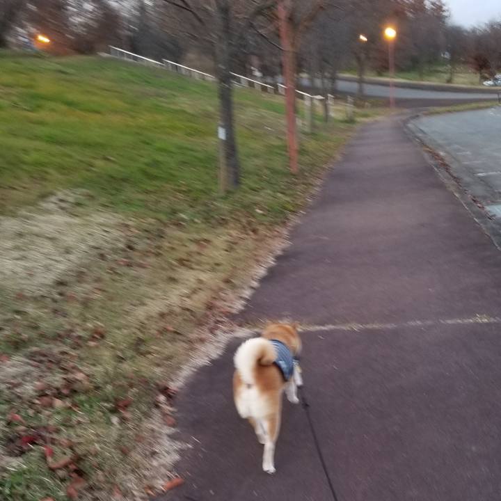 575c6831 e0d4 4f60 9f28 edb74ce71828 1637393499086