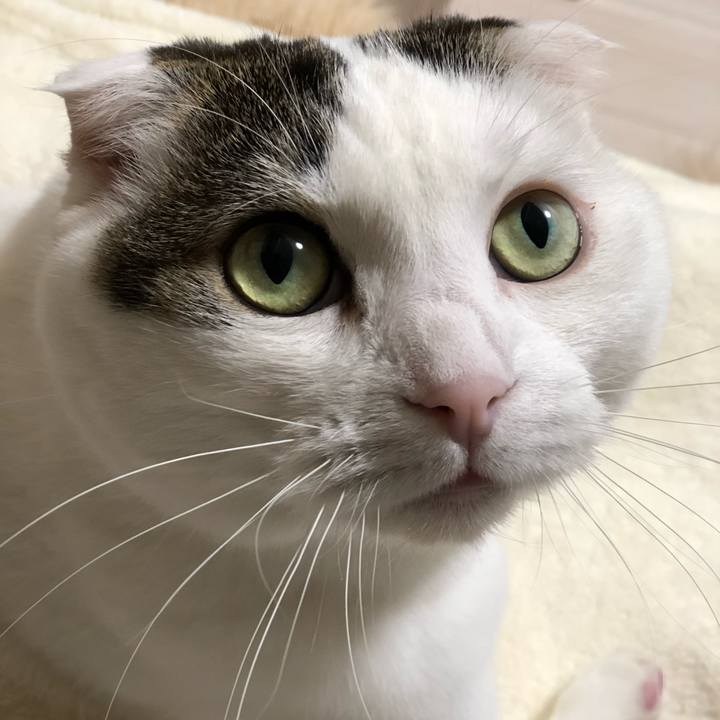 575c6f79 5c05 4244 973b ee0075c0c213 1554083522656