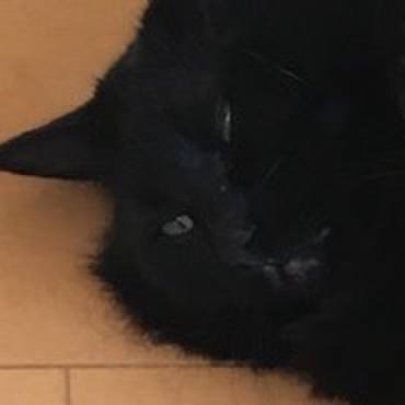 575c9a0b a2af 4d01 9172 387475c6a2dd 1519710013895