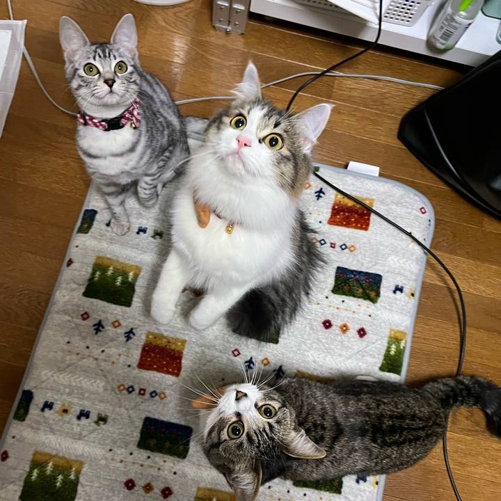 575ca040 005c 4b7f 81c1 6ee56f4df585 1708342028917