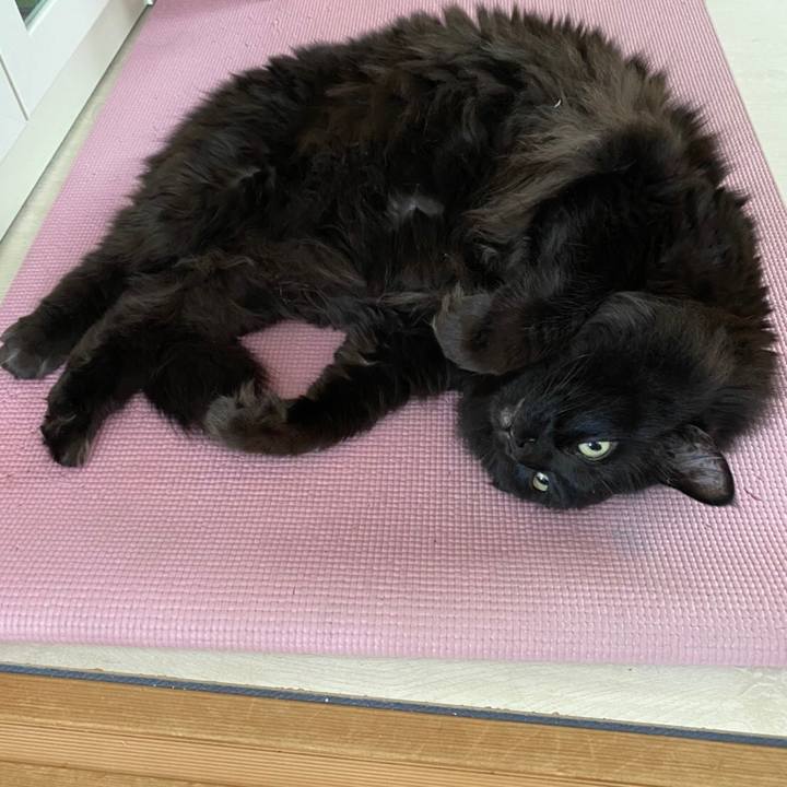 575ca08e 15b5 42d2 95c8 392432215f60 1583450369569