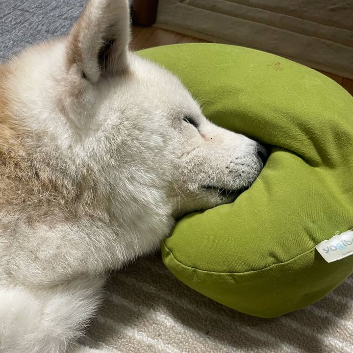 575cb380 05aa 438e b548 3ab81485eba4 1758489358134