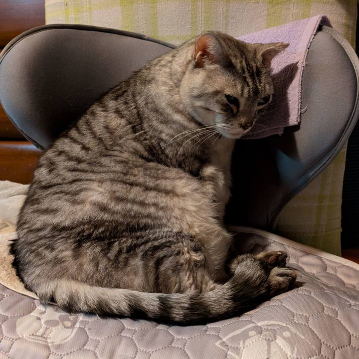 575cc0a4 5795 44b2 bdd9 89dac774281f 1762710579076