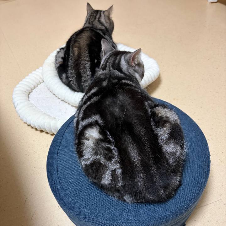 575cdf75 13c9 420f bbb8 91e94b1e7906 1769526092481