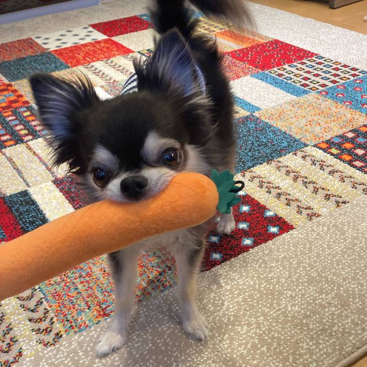 575ce31c a3f7 4a67 abf0 42ccaf191068 1717862369162