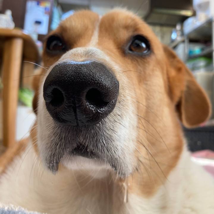 575cea36 17e8 4742 9494 4e7207c40e62 1737772779071