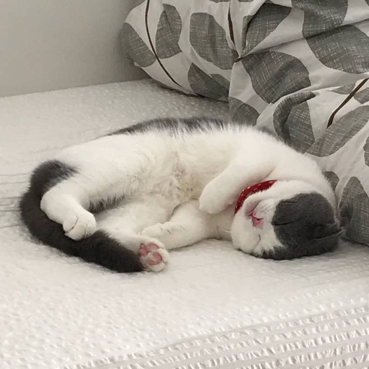 575cff71 8e15 4e8f b334 4379b528664c 1513077588390