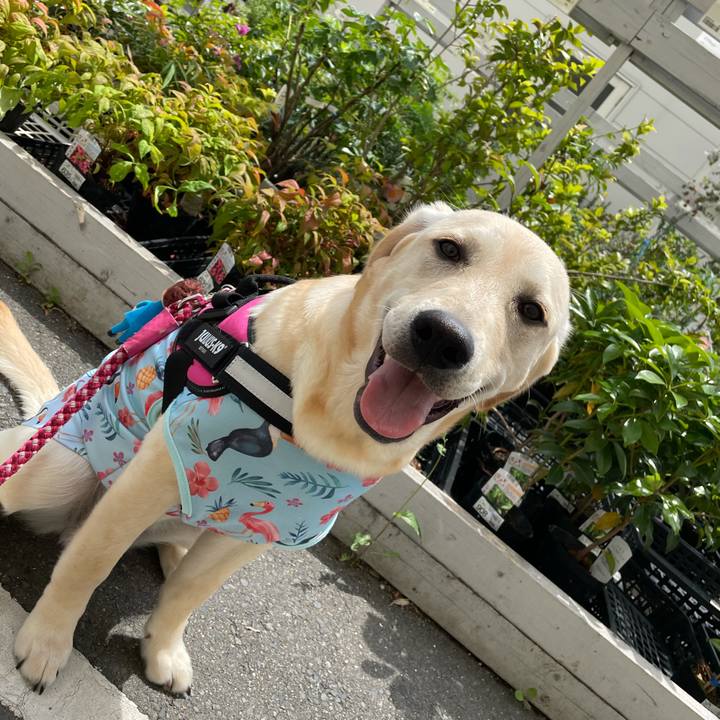 575d1865 16bb 4e64 858b 559cc4ac0fc3 1623585900561