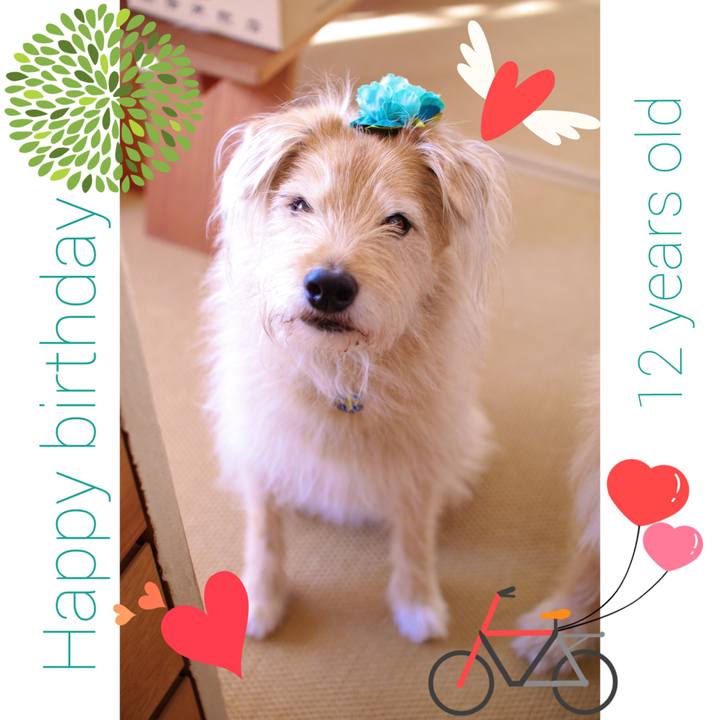 575d3776 4380 446f 8b73 095d5cf11cac 1554071160284