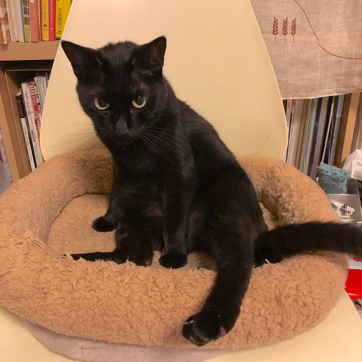 575d9684 5d08 4299 8f82 3a143a5b921c 1558091942207