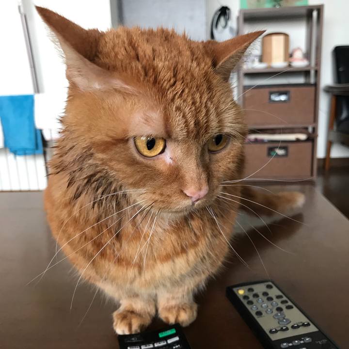 575d96f0 94e6 447e 87e2 2fa8f79bf0de 1586670674023