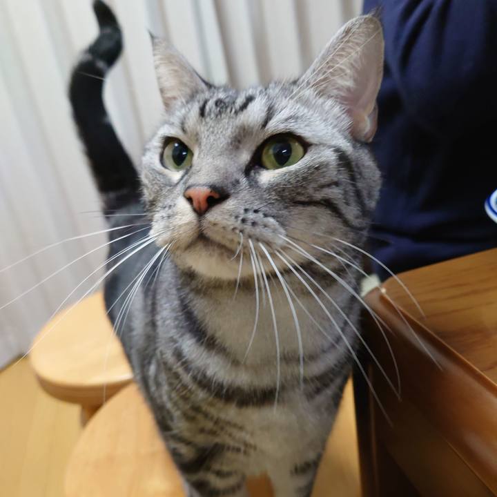 575d9912 6844 4e3c b43c 0341fae8eb31 1641941674581