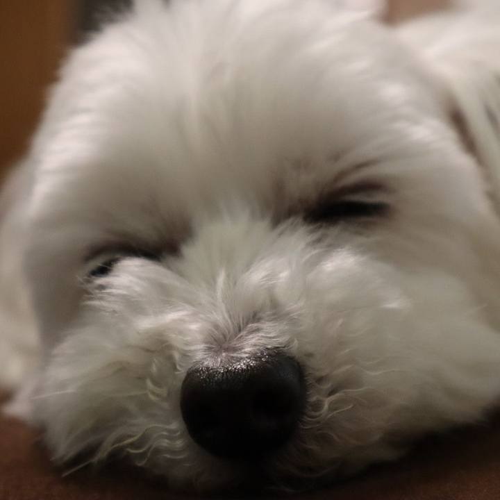 575daa8e 70a3 4a0f a24c f83553be6ffd 1586668918388