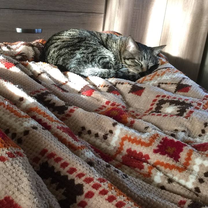 575dd9cb aa79 4a0a 87da 51daf28987f5 1511858338973