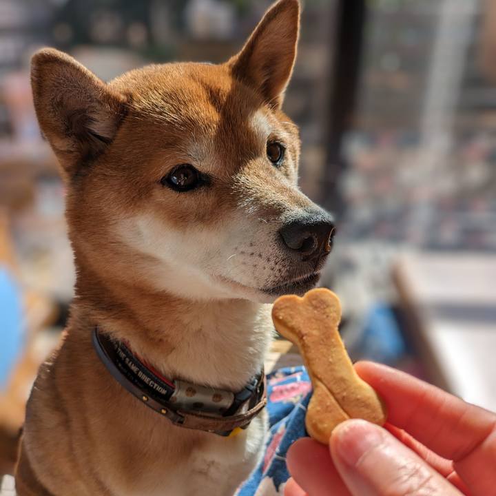 575e323a 97c7 4330 aa14 e4ff8b0bb198 1707870481394