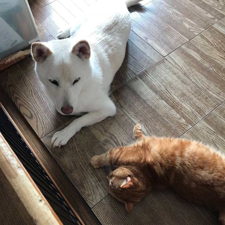 575e39e3 e209 4ab1 8046 422c66e58c8a 1537775961877