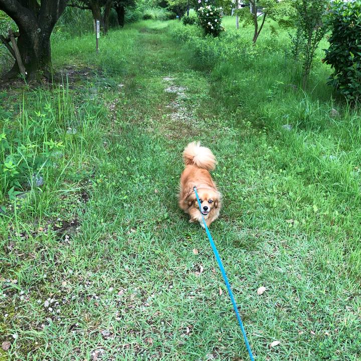 575e4b87 b699 42e9 bd32 8023f8e659ea 1562536222645