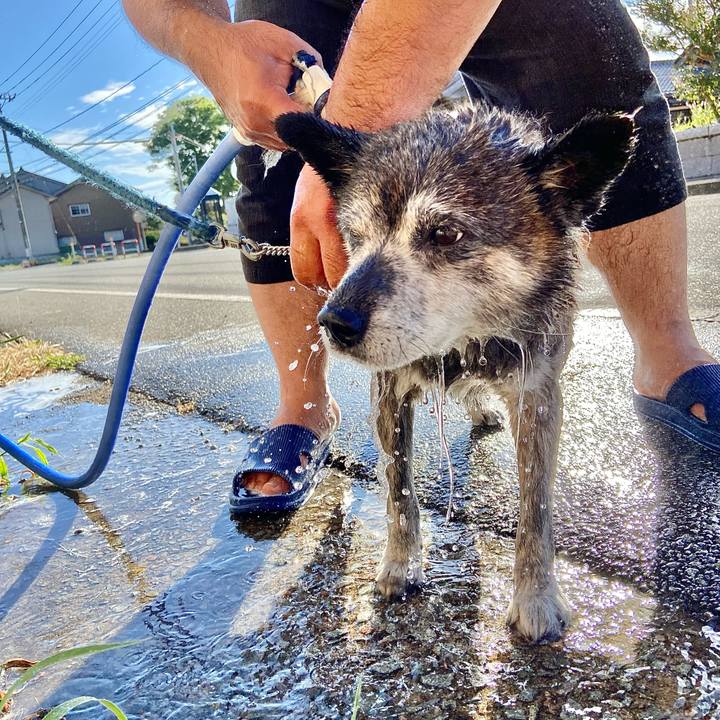 575e825c 1291 499b 8d5f 5606133e4d4a 1753087954380