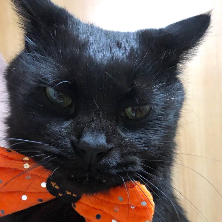 575e8edc 78d6 460a 870a 0037ce3b0574 1603972524838