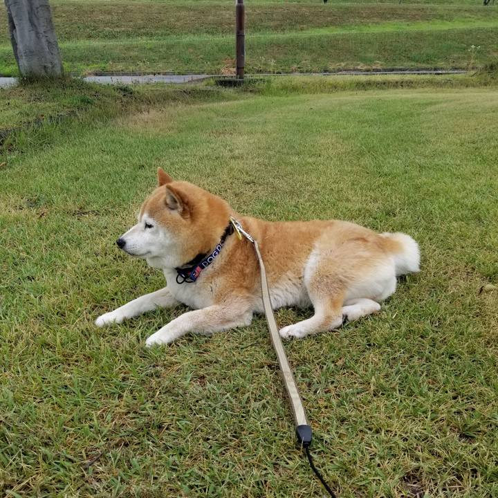 575ebd2d 77c7 4562 8c5c 4711767afbaa 1656834959886