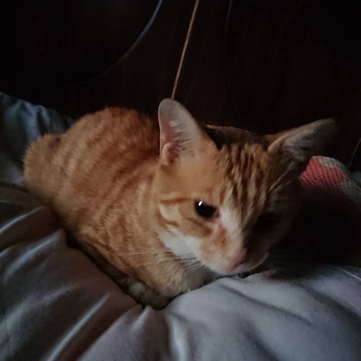 575ec33d de3a 4061 a0d3 157ea04bb514 1562270392979