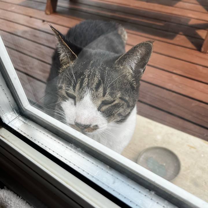 575ed295 8c7f 49db 99ff b4140c2f51bc 1716371782081