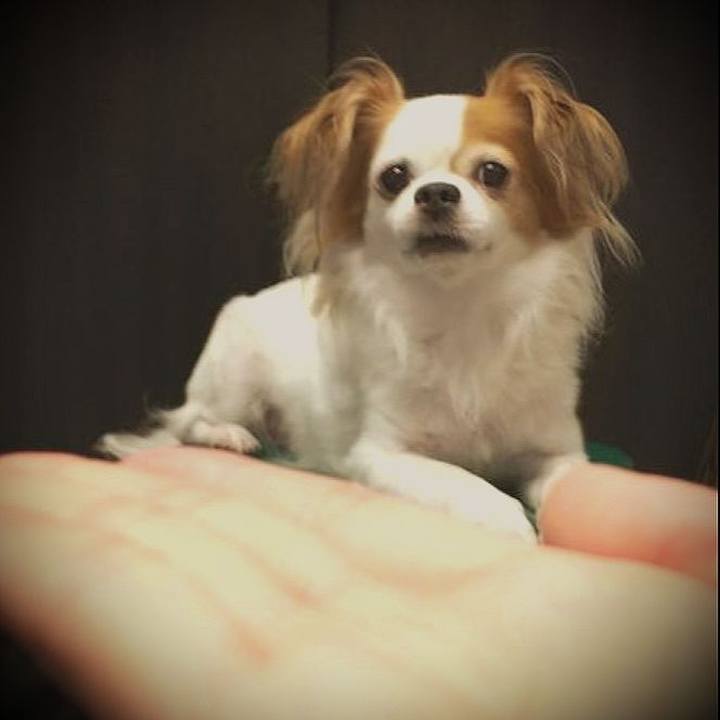 575ef552 bee9 47ae a876 62ffc818f1d7 1685803506671