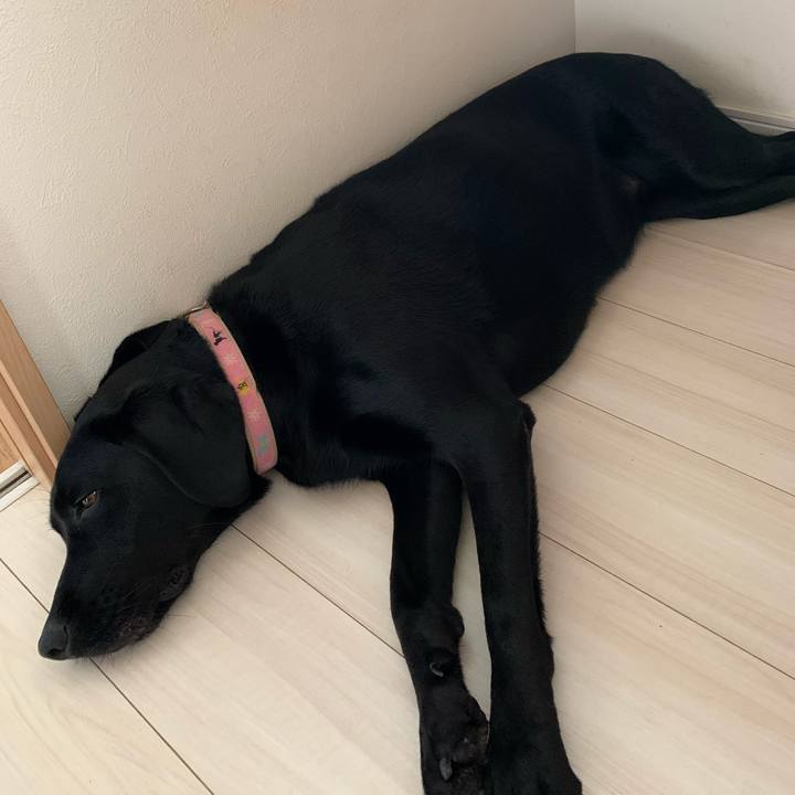 575f00ec 0074 4c2b 8193 2cbe57fdf147 1599037111266