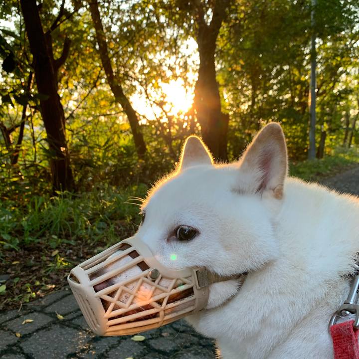 575f0f7b 455e 4e1a 8a55 644550d4b171 1600463964497