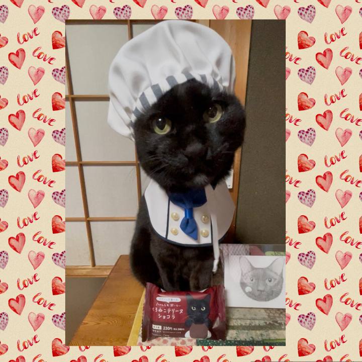 575f2228 67b8 4600 9ba8 ccc3065d4281 1771026183506