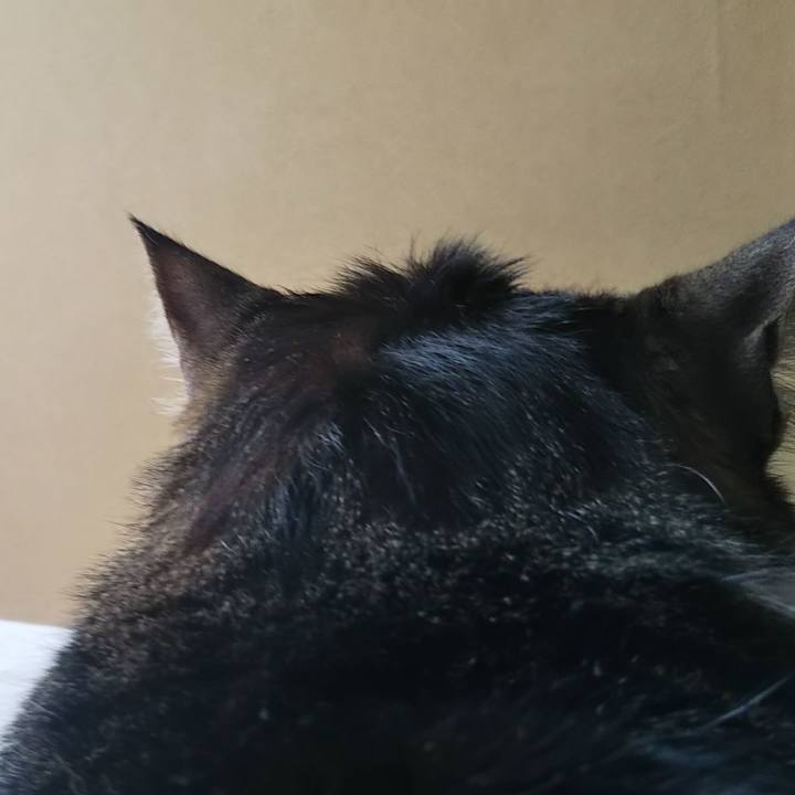 575f295b 6f0a 4644 9901 2e0c77d6aa51 1619065002544