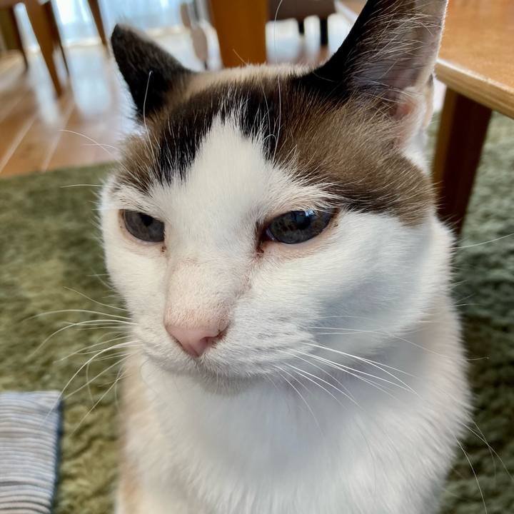 575f7291 003a 432c 9ee7 94a70d7c0c1a 1650428537586