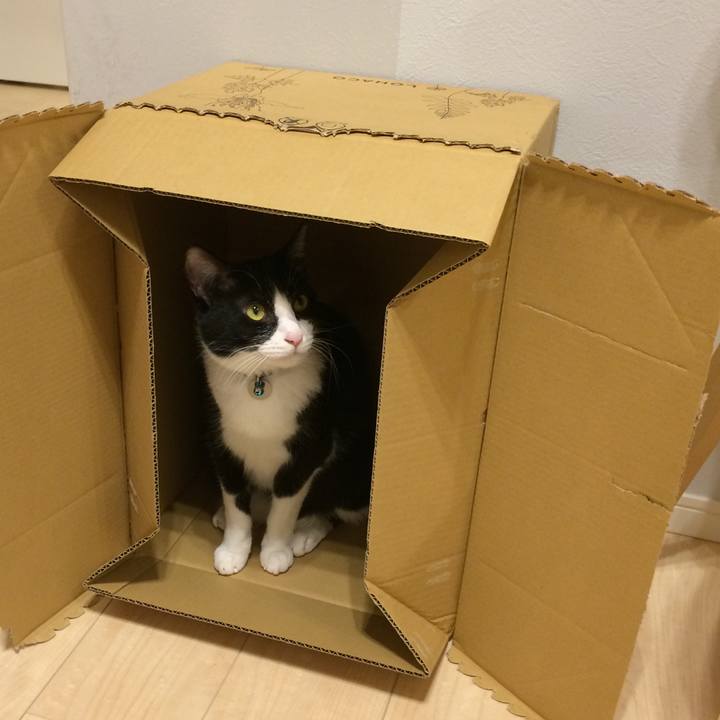 575f758c 04a3 45ab a803 f71dee6a4874 1518444455704