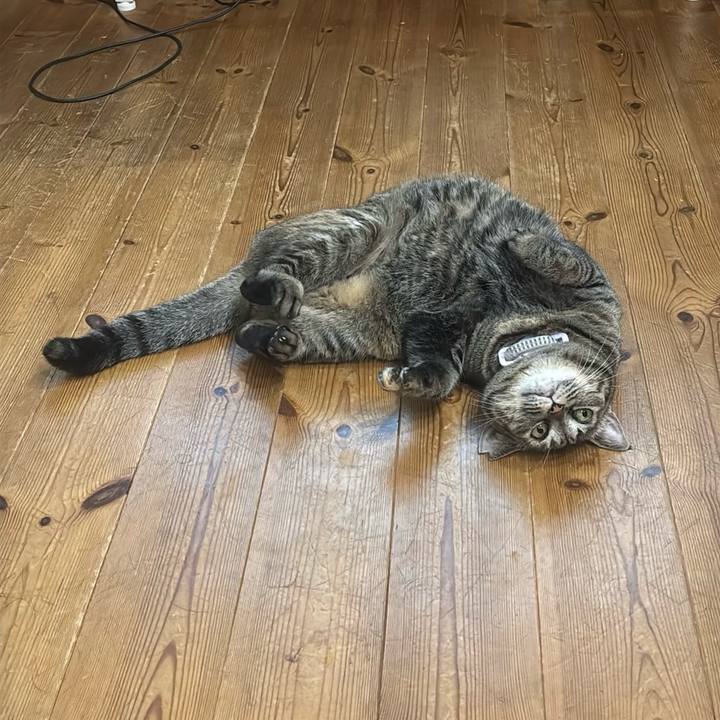 575f8fce 6682 407e ae6e 95d60aa0fe73 1763784583964