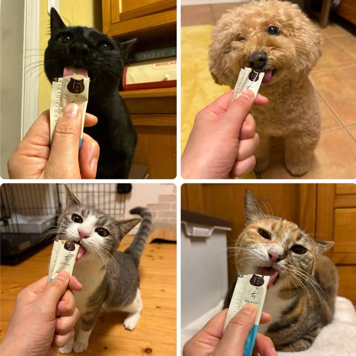 575f9e51 79cc 4925 8e96 aeb096a85273 1765538340489