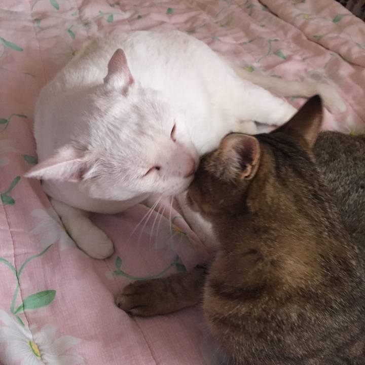 575fd3b0 83e1 48bc 91fb a0fce7d5769f 1568762524394