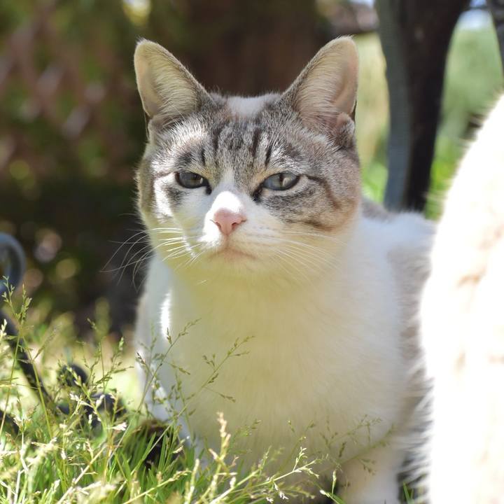 57600b2b 6601 4f8a ab95 1fcf7f8a8d80 1553395348201