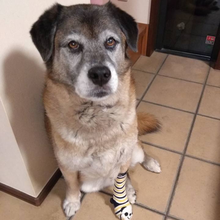 57604f86 a5ba 4298 98de f13976b1c05f 1559047877460