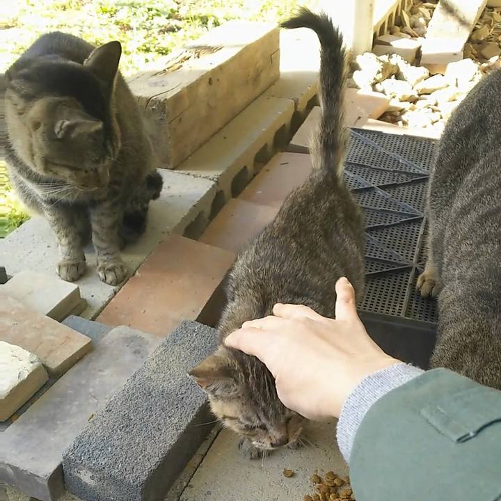 5760586e 3818 4c93 91e7 43626471efcf 1512532583049